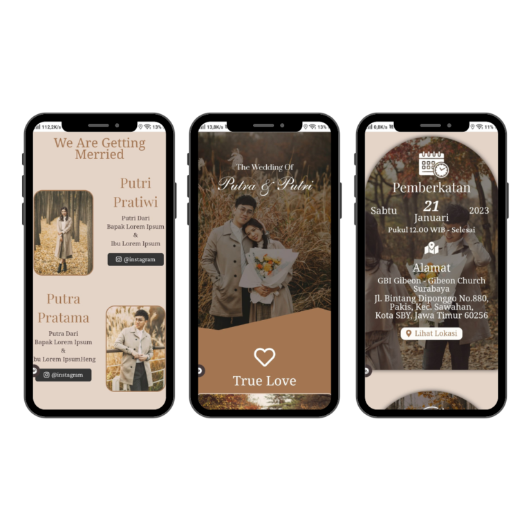 Tema Elegan Premium 02