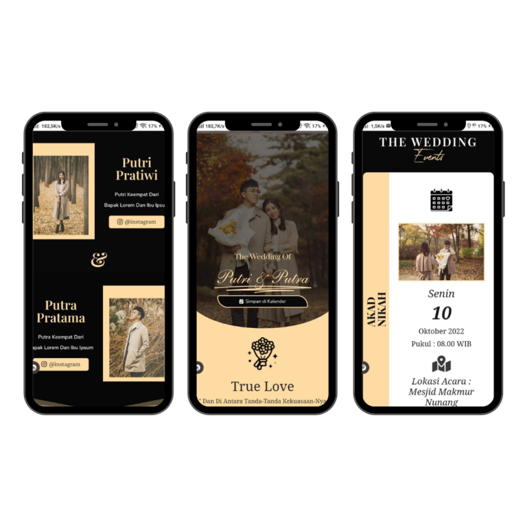 Tema Elegan Premium 05